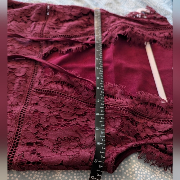 Tobi Sophia Wine Lace Dress - Picture 10 of 14